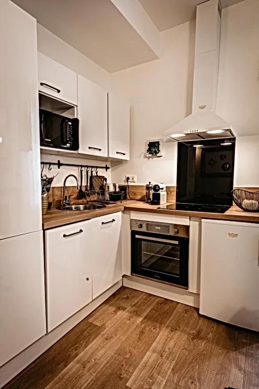 Belle Reine - 3 Appartements En Coeur De Centre-Ville Aix-les-Bains Dış mekan fotoğraf